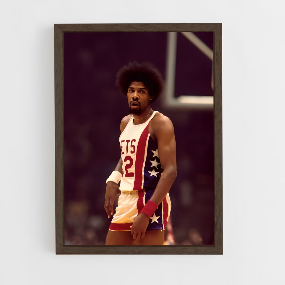 Poster Julius erving parquets – affiche Basketball (vue 5)